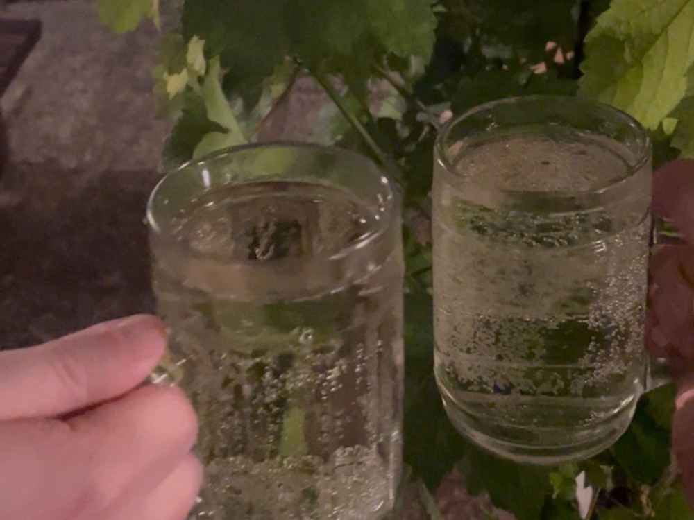 zwei Spritzer vor Weinreben