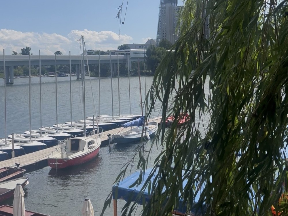 Aussicht auf die Alte Donau. Segelboote auf dem Wasser.